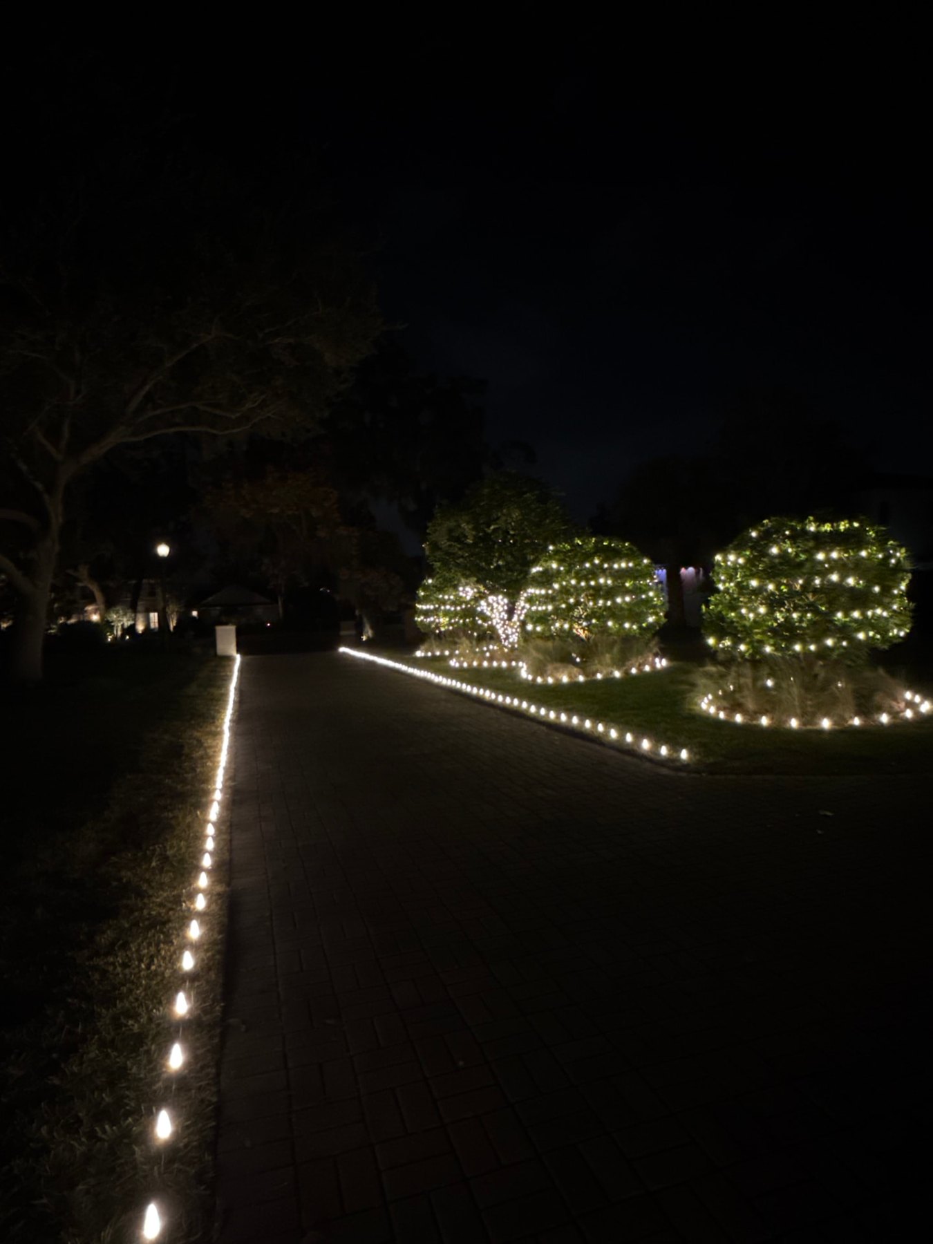 Lit walkway & canopy — Christmas light installation in Central Florida by Hang & Glow Crew
