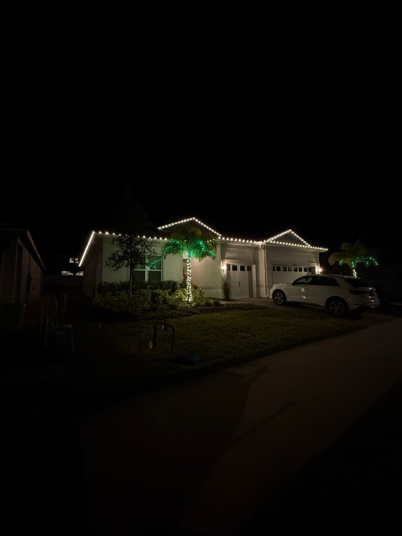 Green-wrapped palms — Christmas light installation in Central Florida by Hang & Glow Crew