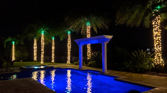 Palm trees wrapped in gold and green holiday lights around a pool in Lake Nona, FL