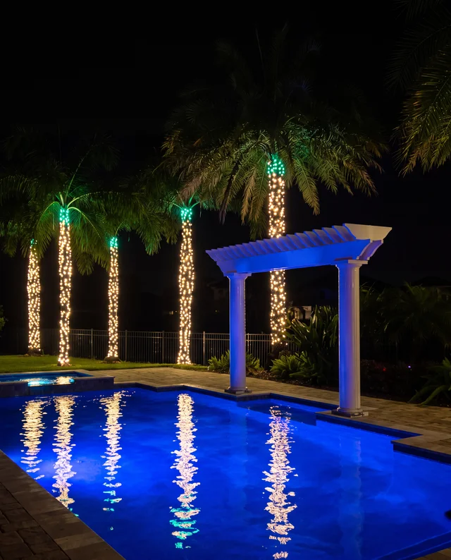 Wrapped palms — Christmas light installation in Dr. Phillips, FL by Hang & Glow Crew