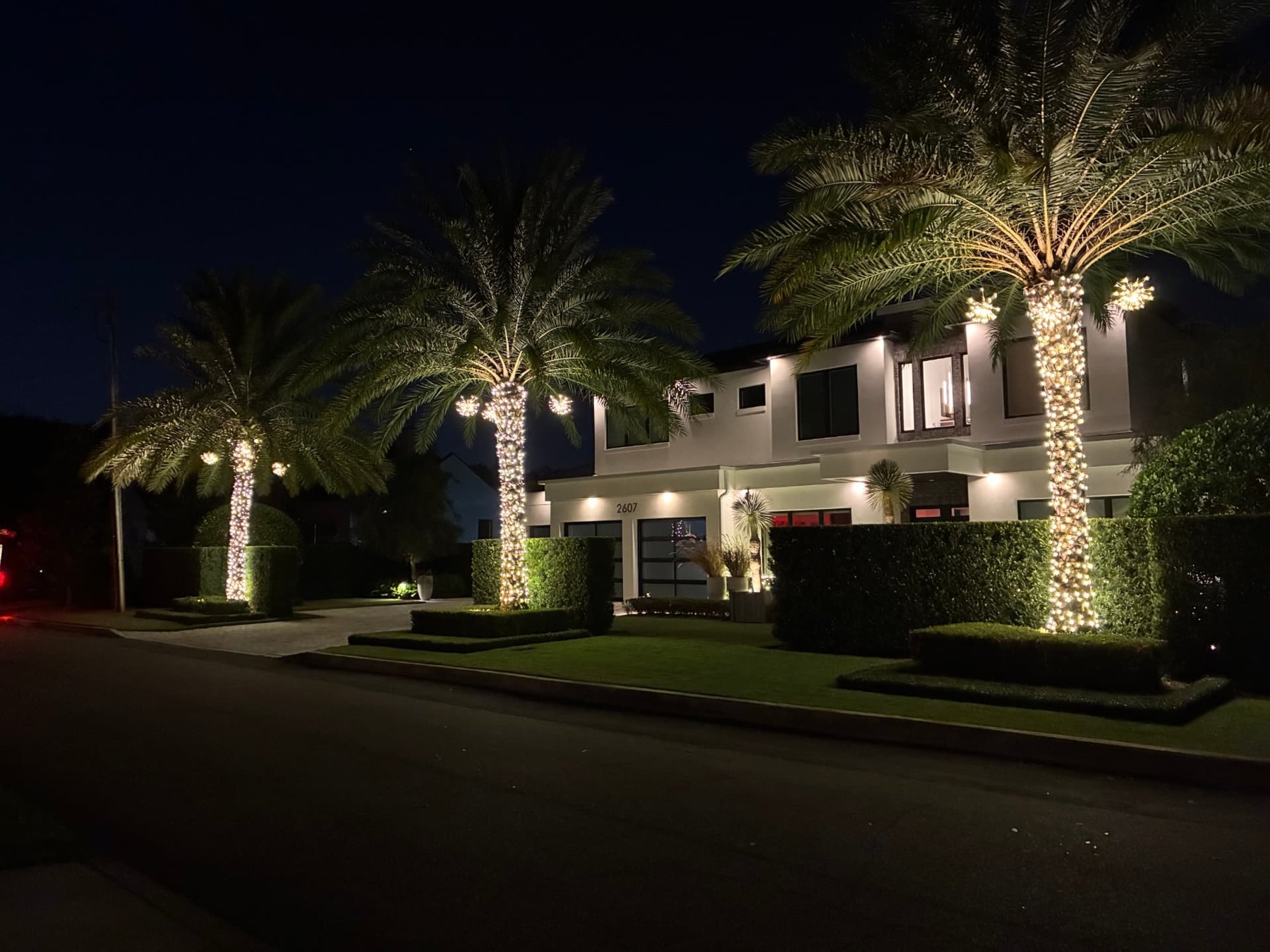 Date palms, modern estate — Christmas light installation in Central Florida by Hang & Glow Crew