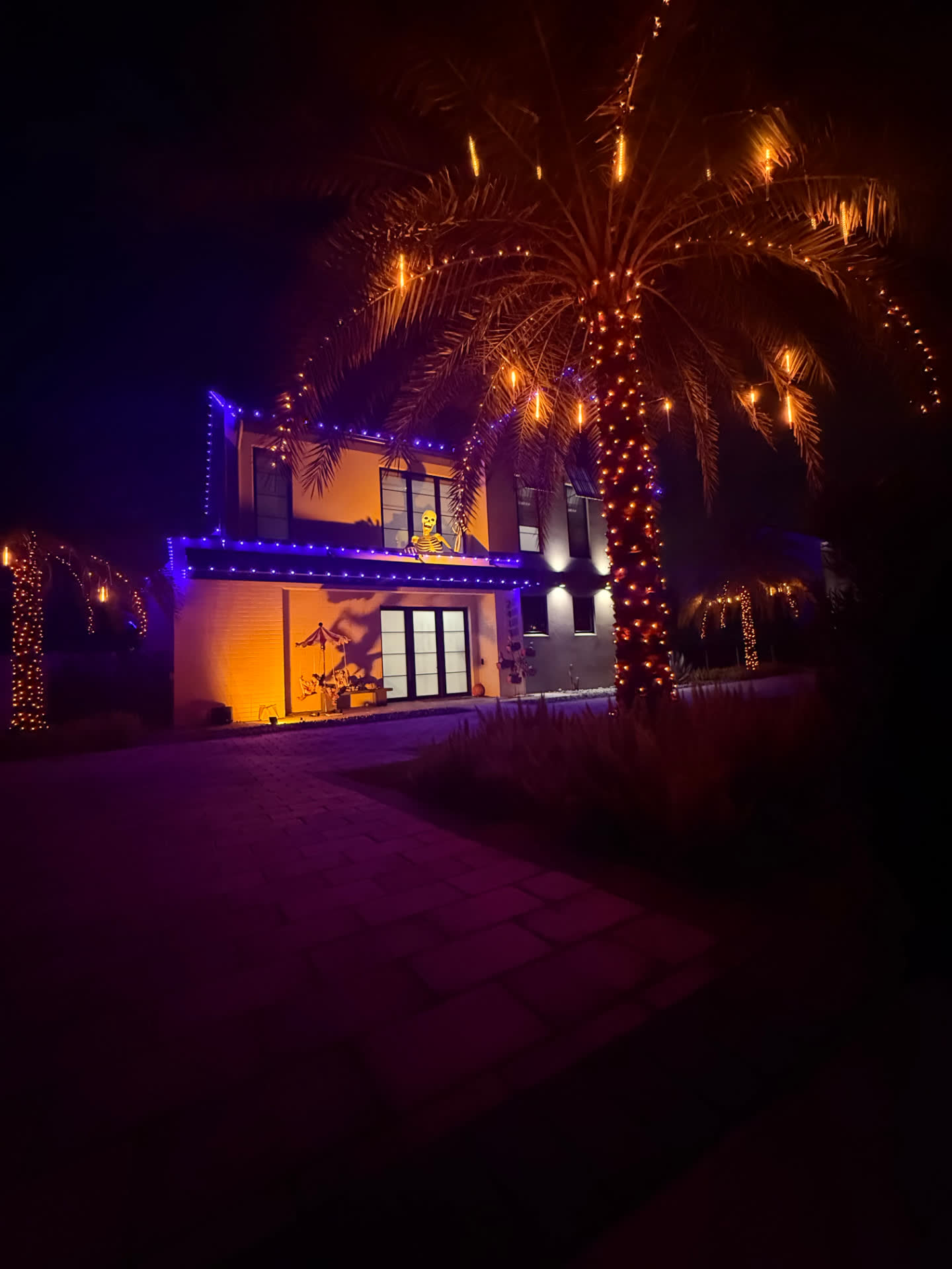Halloween driveway view with orange-wrapped palm and icicle drops
